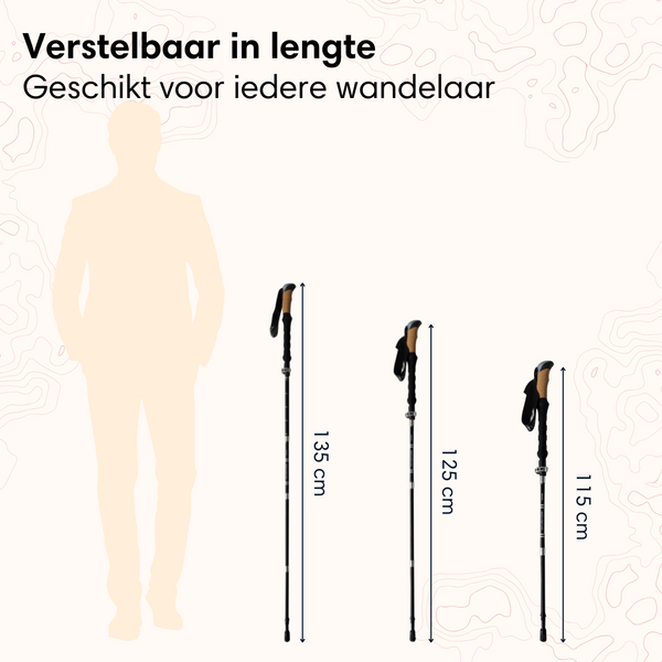 Nordic Walking Sticks