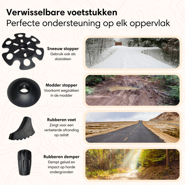 Nordic Walking Sticks