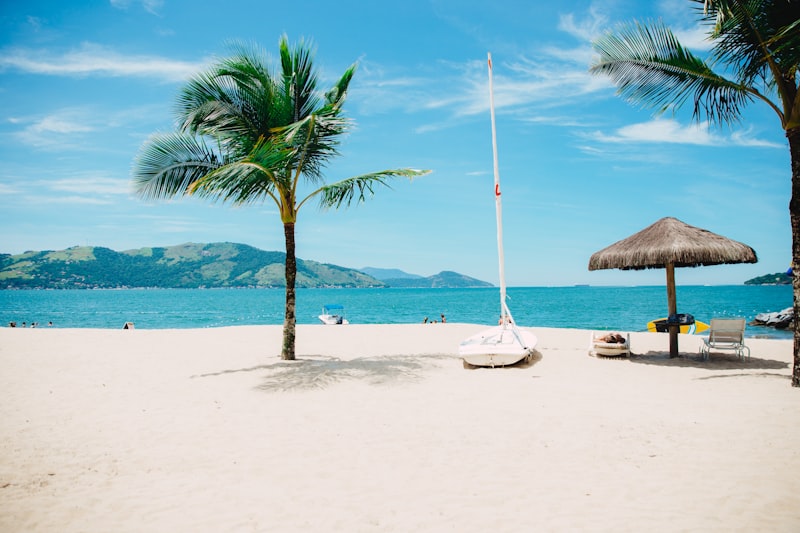 Folding wagon beach